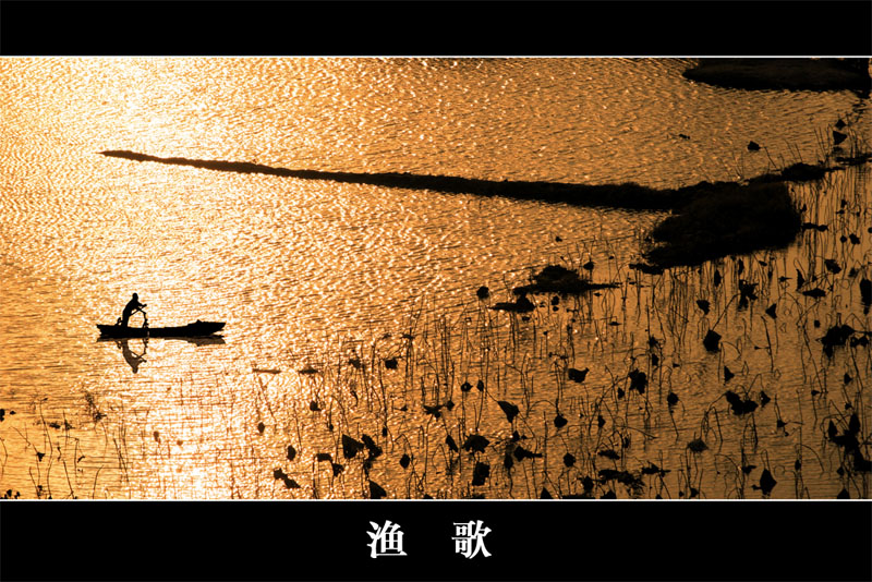 渔歌