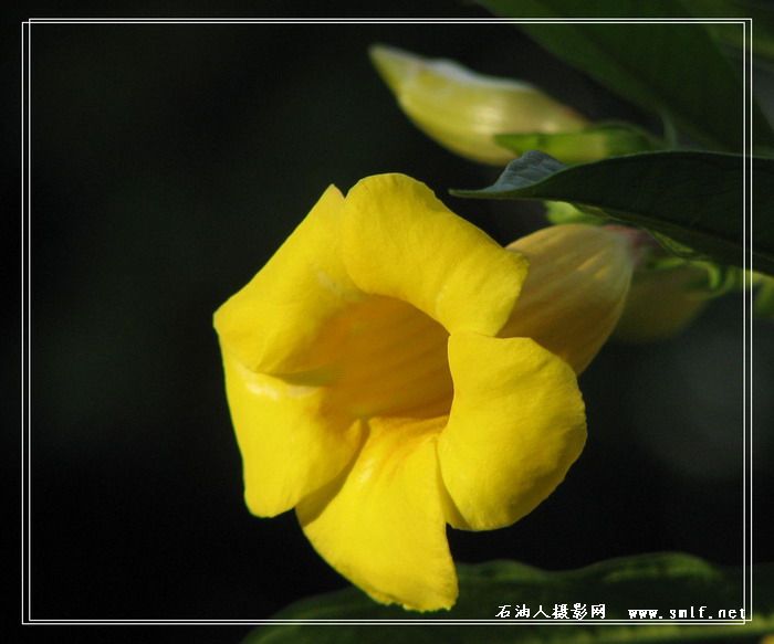第一次发片，请多关照。
