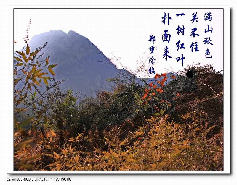 太行行