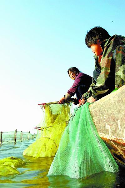 石油人摄影俱乐部在大河报上的风采报道