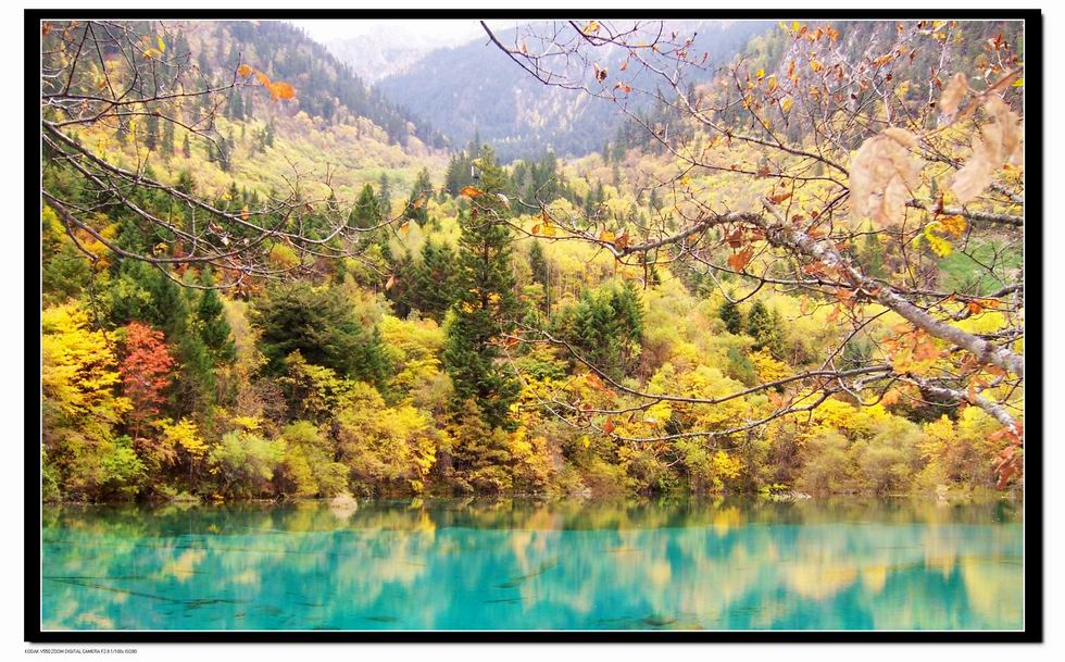 童话世界——九寨小照