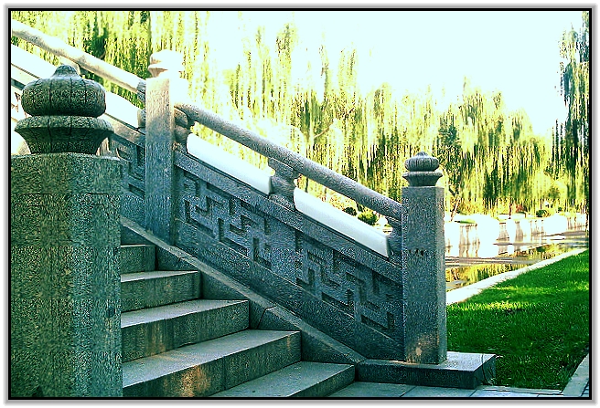 绿秋3