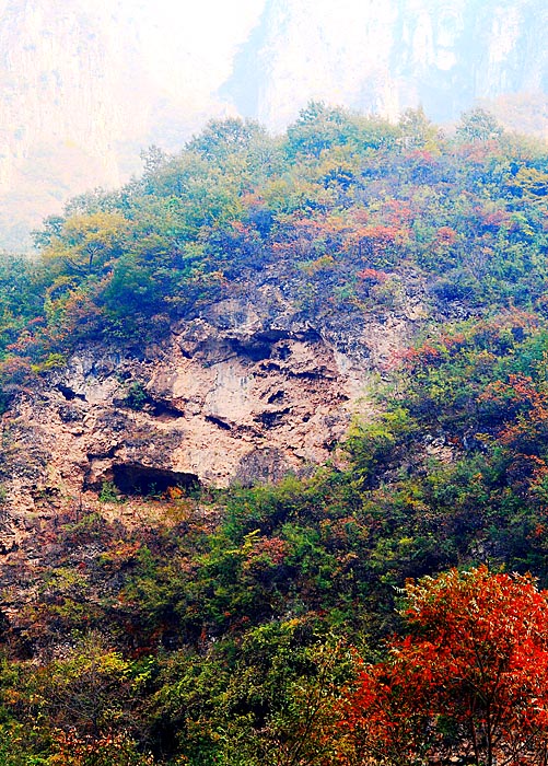 仁者乐山