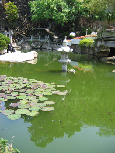 老是看大家发贴，都不好意思了。发张西湖小景