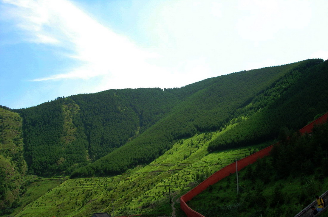 山