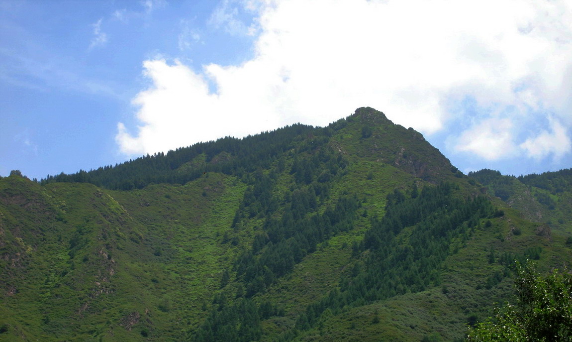 山