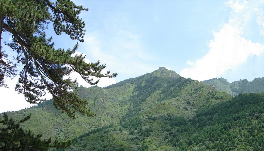 山
