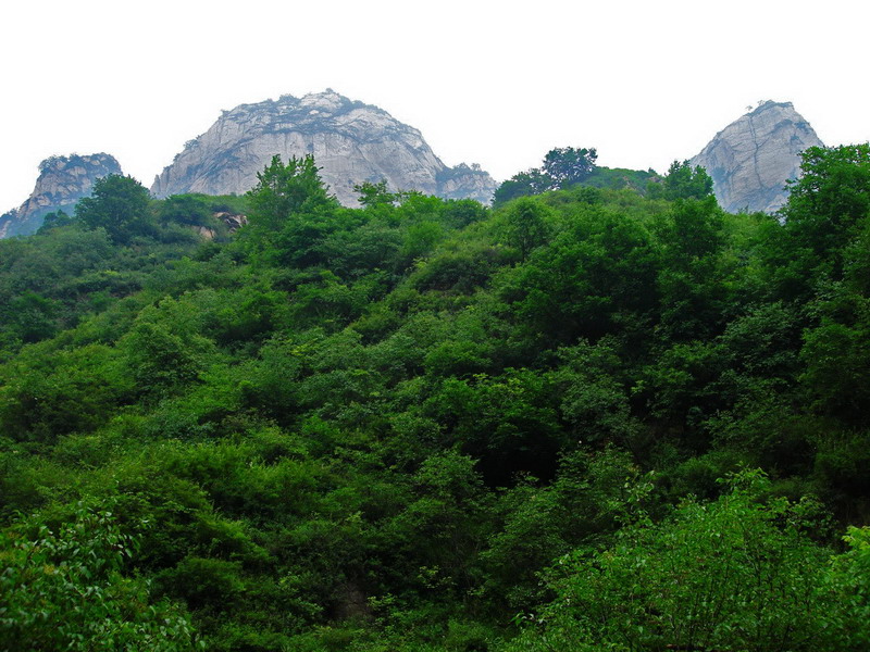 山
