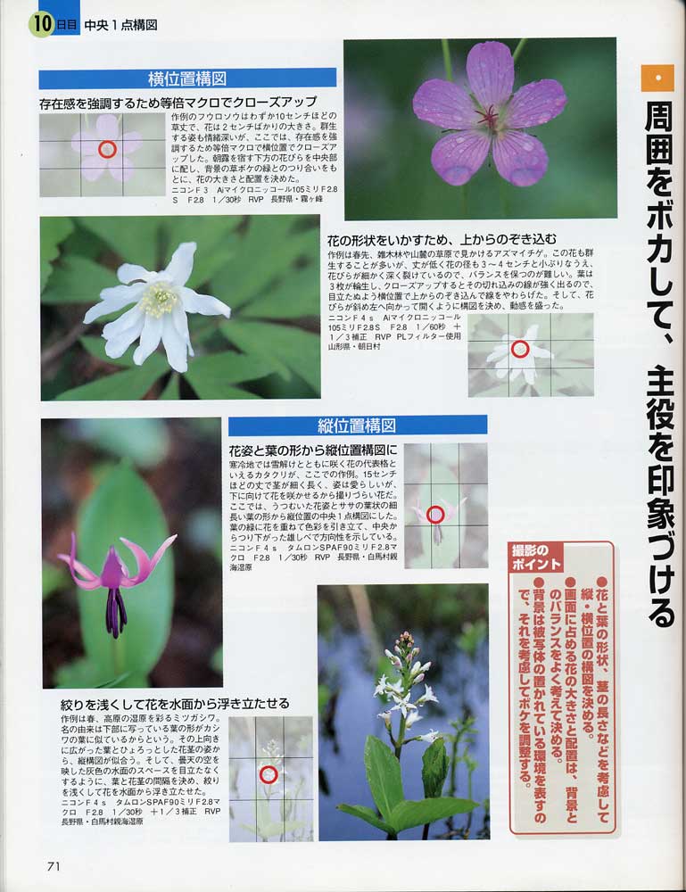 菜鸟的构图讲座（日本风光摄影家山口高志）