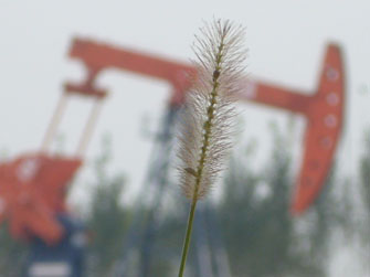 学习照
