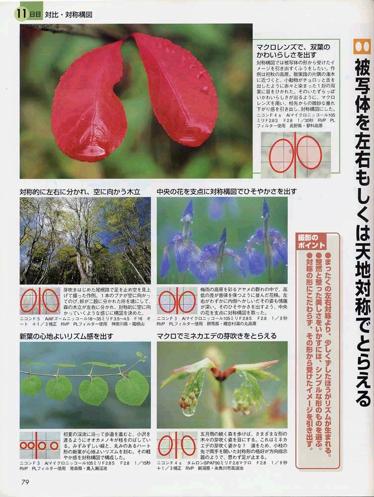 菜鸟的构图讲座（日本风光摄影家山口高志）
