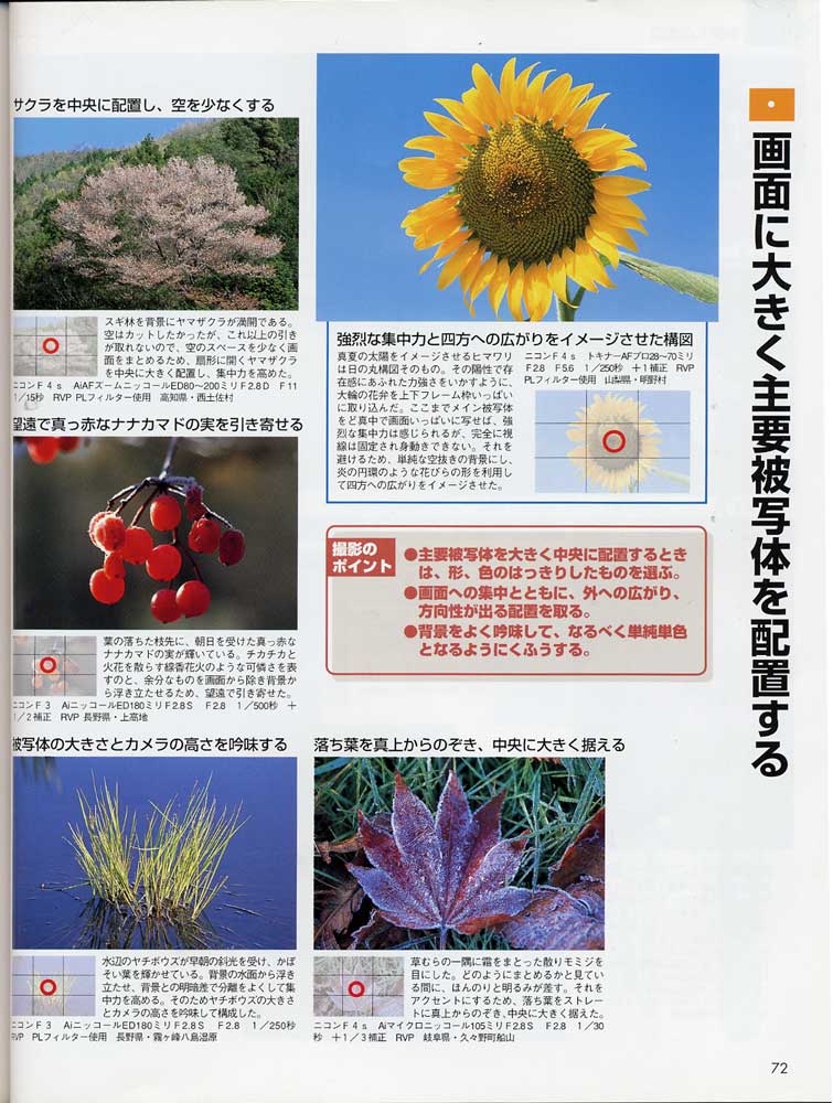菜鸟的构图讲座（日本风光摄影家山口高志）