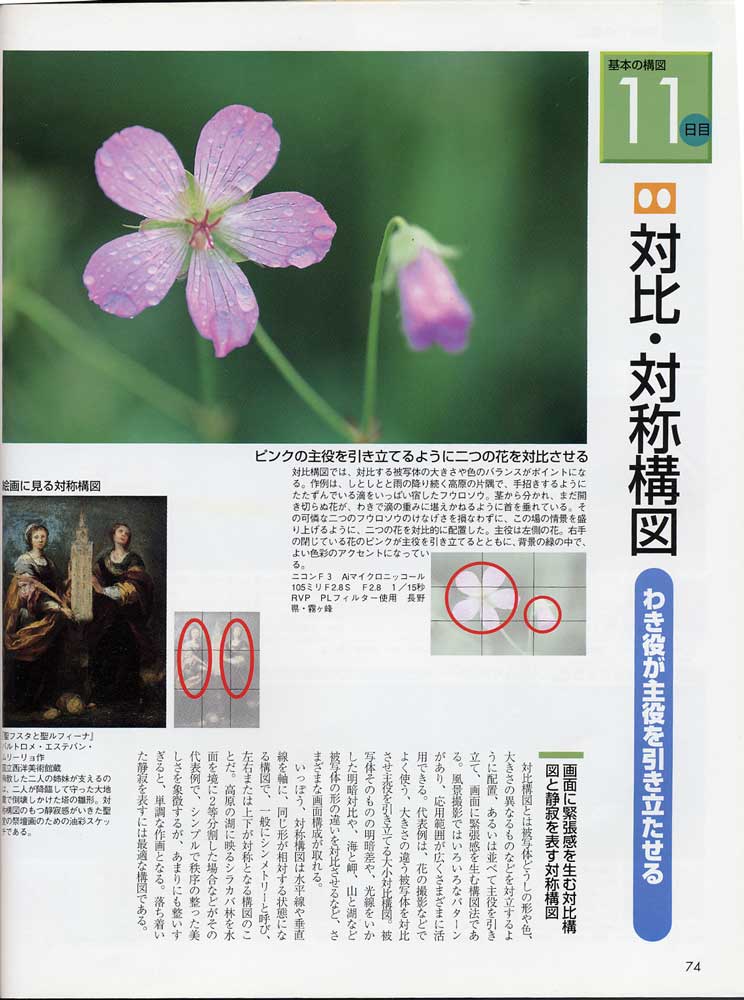 菜鸟的构图讲座（日本风光摄影家山口高志）