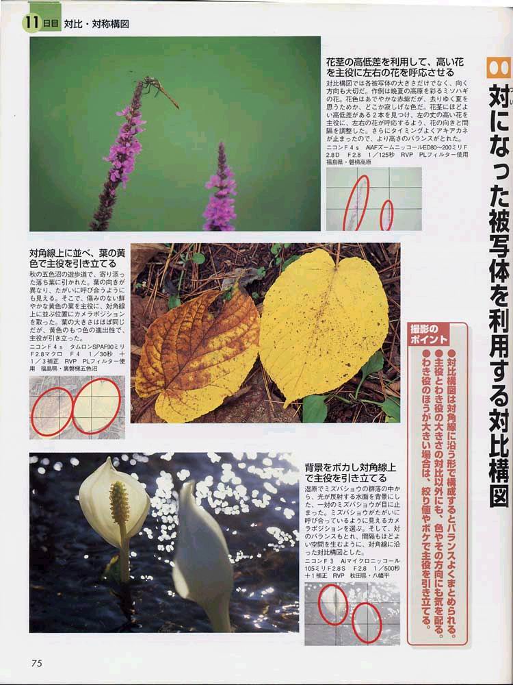 菜鸟的构图讲座（日本风光摄影家山口高志）