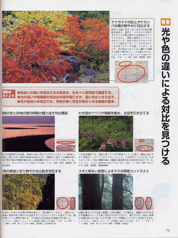 菜鸟的构图讲座（日本风光摄影家山口高志）
