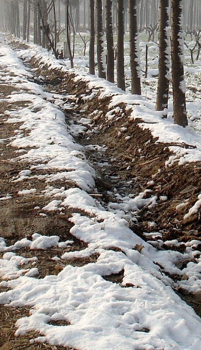 雪景随拍