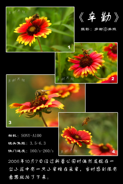 辛勤