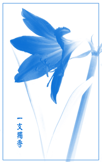 小花一幅