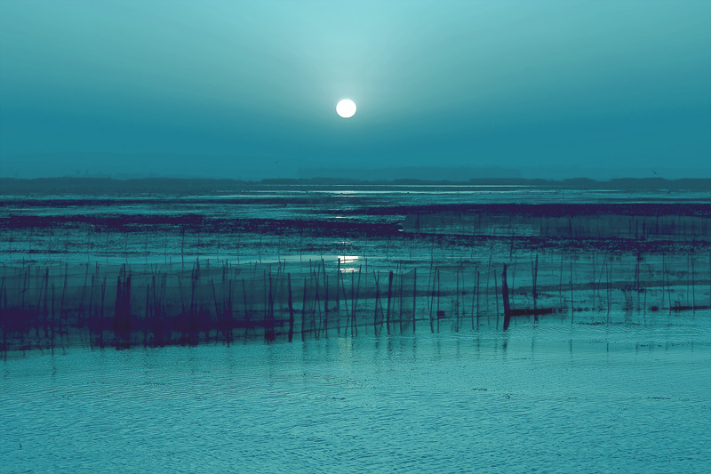 明月照平湖