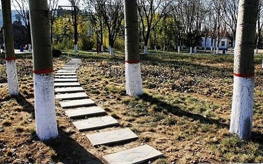 扫街-----路