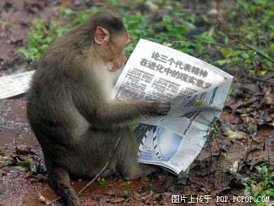 绝对少见的片片