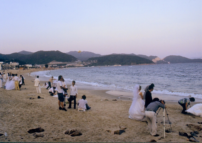 大海作证