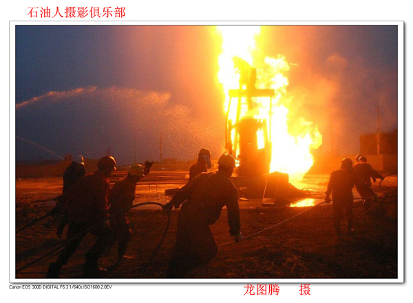 [推荐]龙图腾佳作