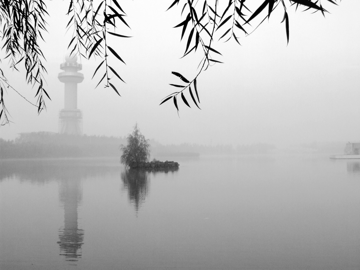 雾锁龙乡