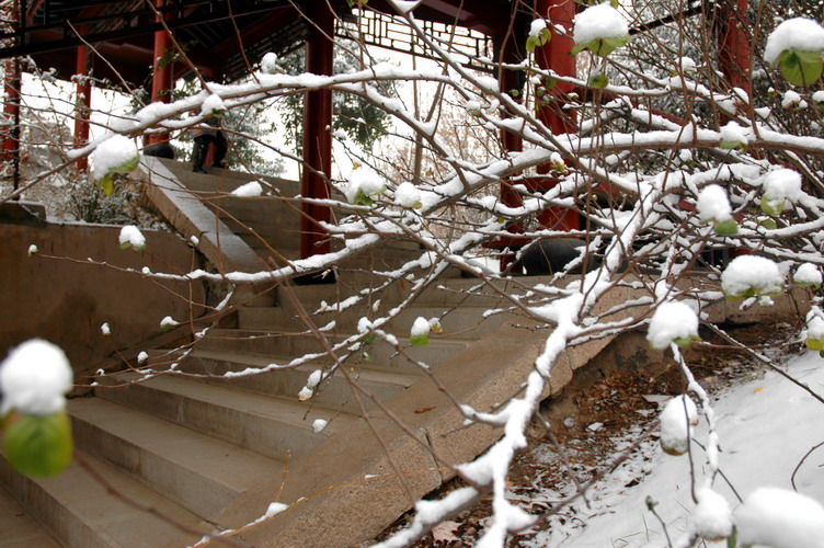 大化邑园内雪景