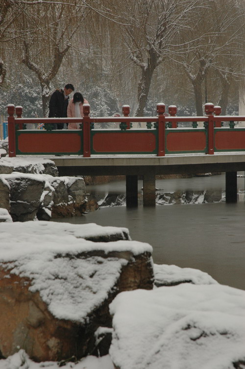 大化邑园内雪景