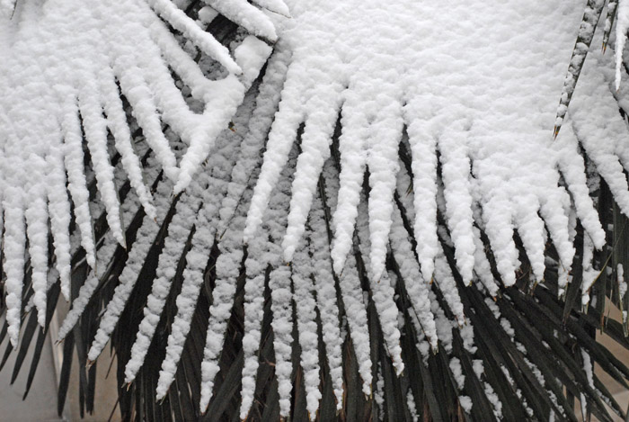 [原创]雪景小品
