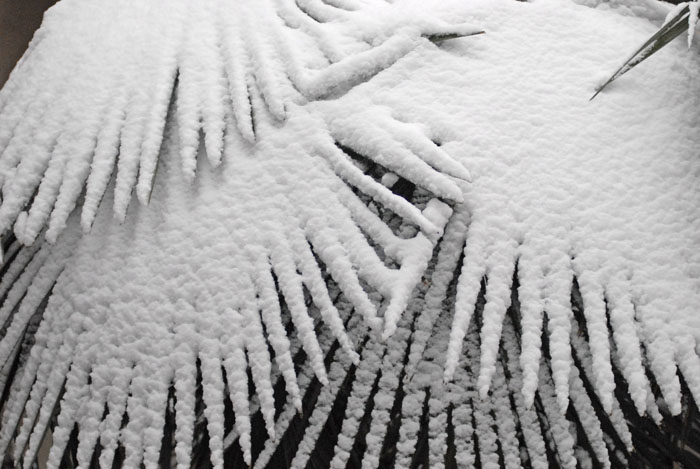 [原创]雪景小品