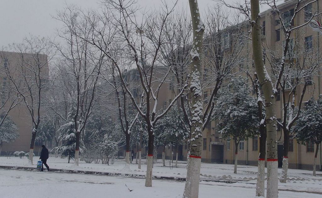 雪景