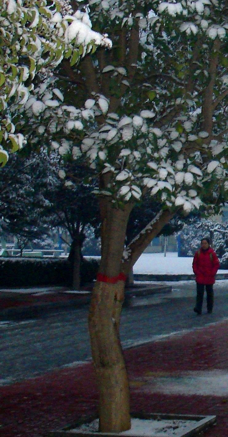 上学路上