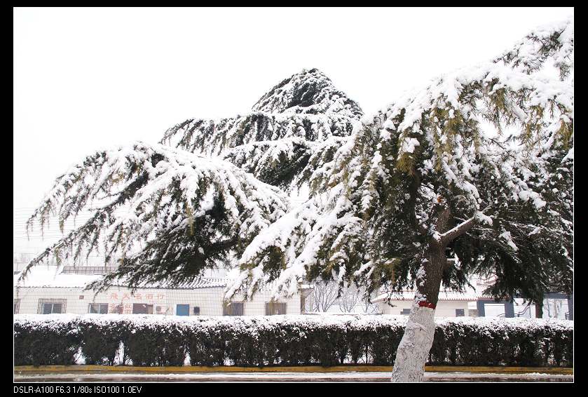 《雪景》练习照