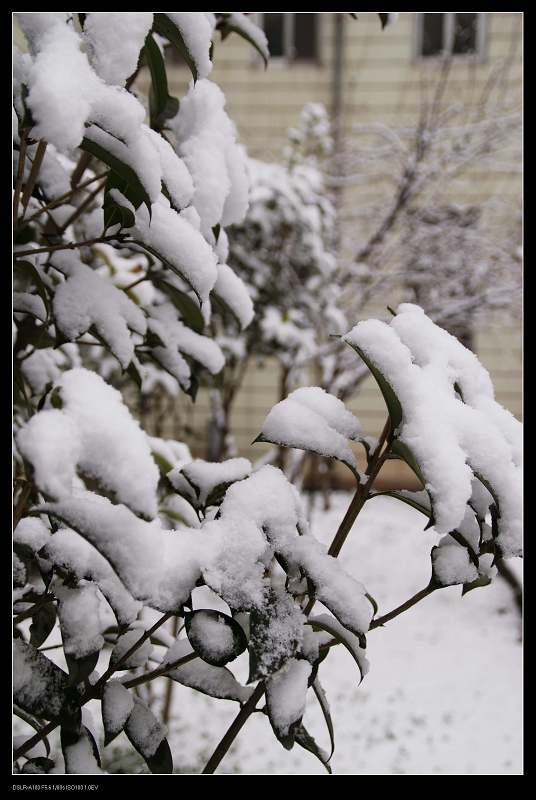 《雪景》练习照