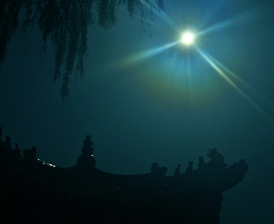 组照:月光如水