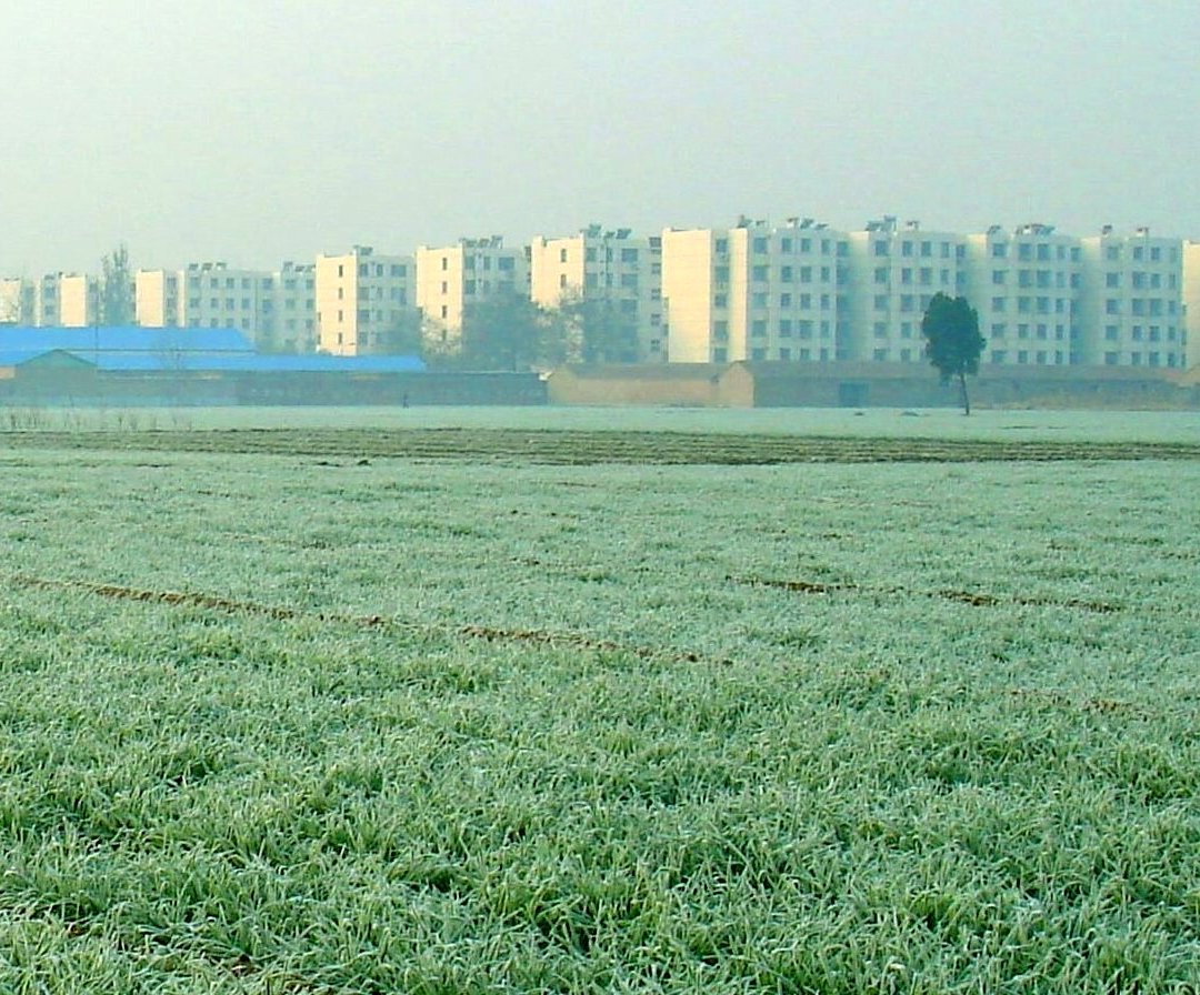 晨