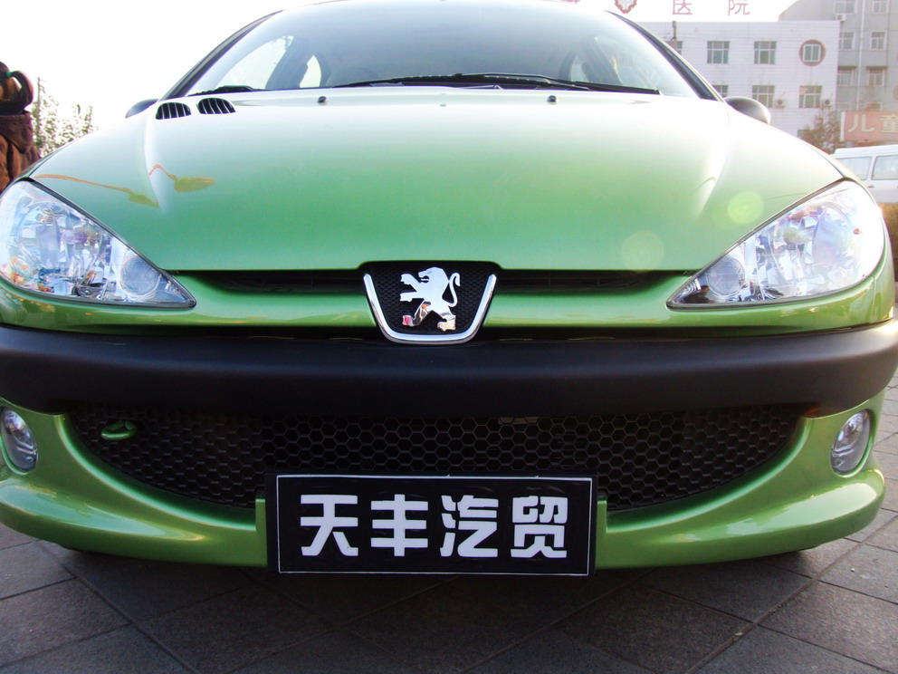 第二届车展车型大全
