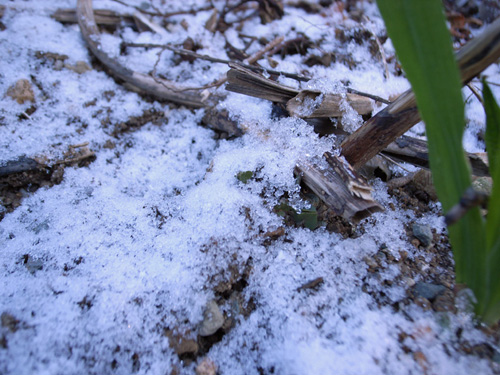 浅谈雪景的拍摄