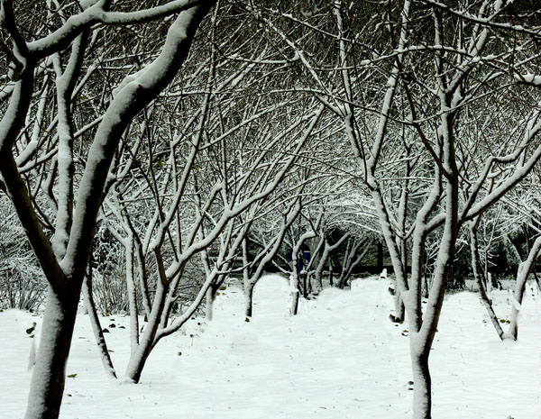 [原创]雪景小品