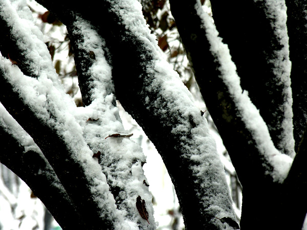 [原创]雪景小品