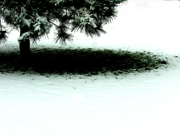 [原创]雪景小品