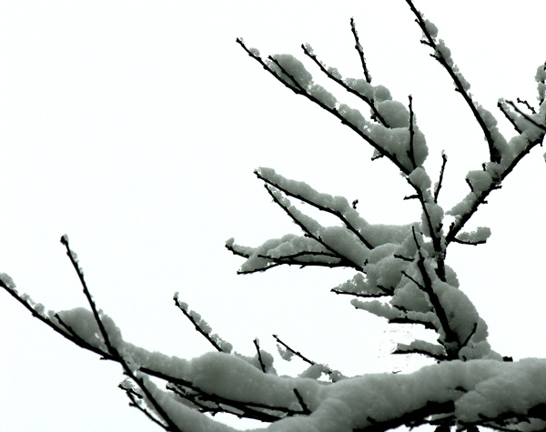 [原创]雪景小品