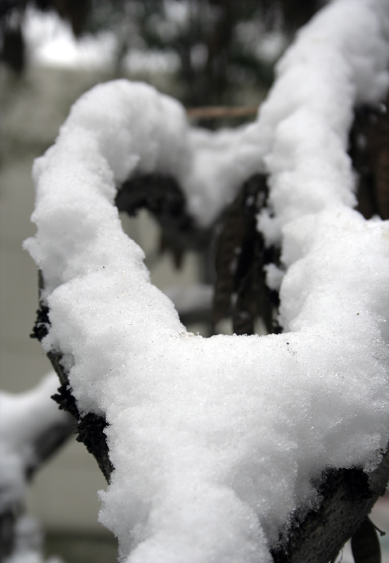 雪韵