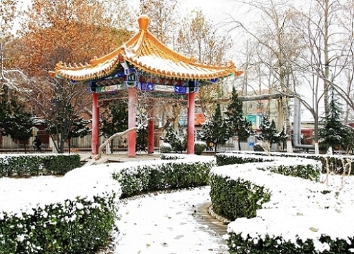 雪后随拍