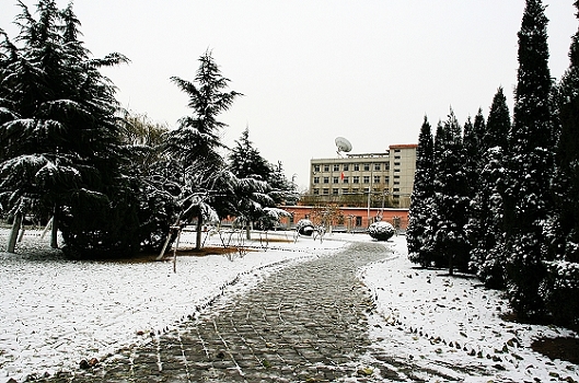 雪后随拍