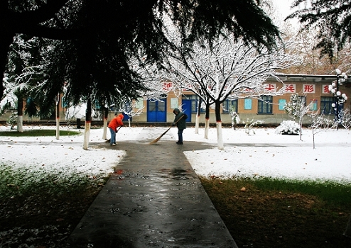 雪后随拍