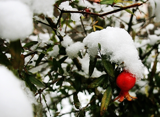 雪后随拍