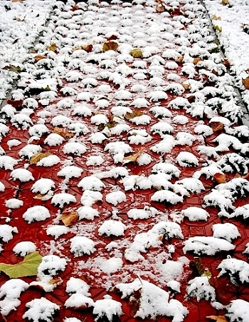雪后随拍